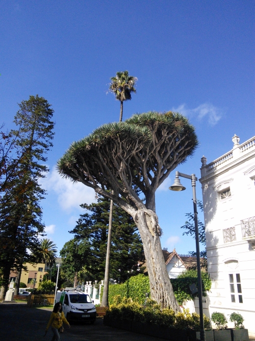 IMG_20161128_134922-w500