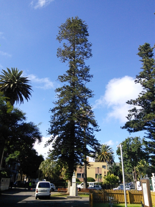 IMG_20161128_135032-w500