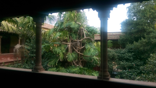 IMG_20191204_135146-w500