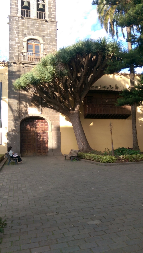 IMG_20231122_165635-w500