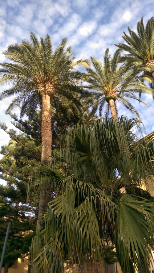 IMG_20231122_165712-w500