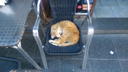 IMG_20181128_134134-w500