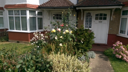 20-IMG_20240830_131851-w500