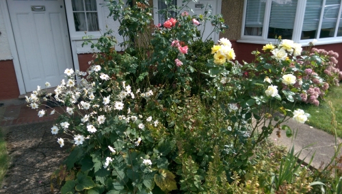 35-IMG_20240830_131709-w500