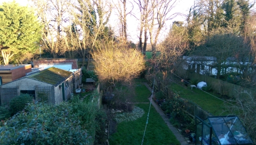 10-IMG_20201225_151142-w500