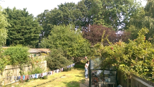 25-IMG_20240817_151603-w500