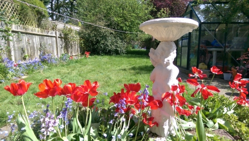 40-IMG_20240418_133237-w500