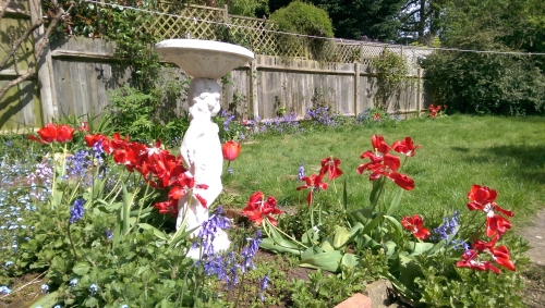 45-IMG_20240418_133255-w500