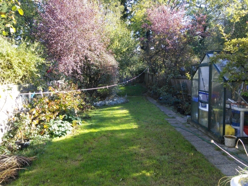 50-IMG_20181102_110707-w500