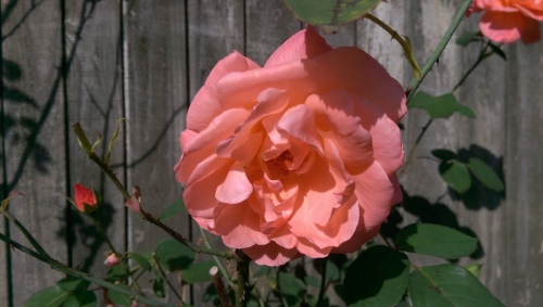 15-IMG_20240914_145524-w500