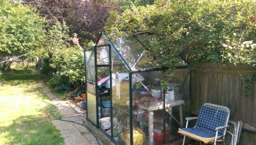 30-IMG_20240817_152335-w500