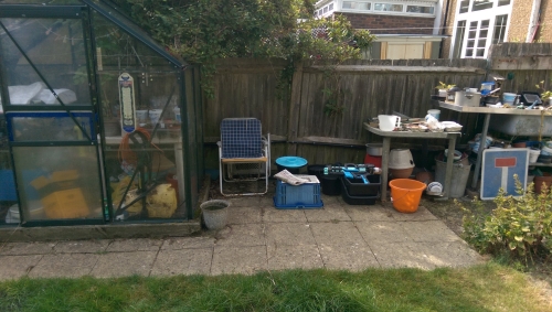 35-IMG_20240830_112856-w500