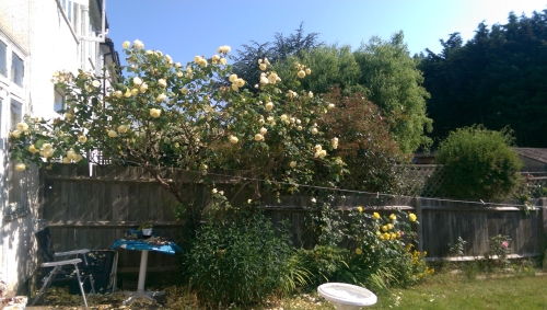 40-IMG_20230613_094754-w500