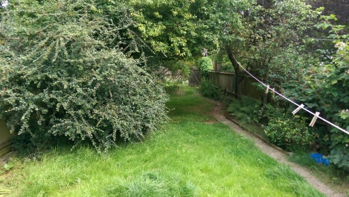 05-IMG_20240801_142030-w500