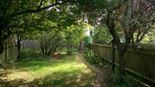 10-IMG_20240830_112927-w500