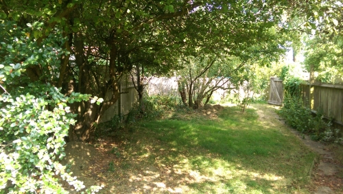 15-IMG_20240817_152502-w500