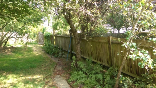 20-IMG_20240817_152508-w500