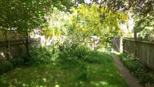 30-IMG_20230515_154419-w500