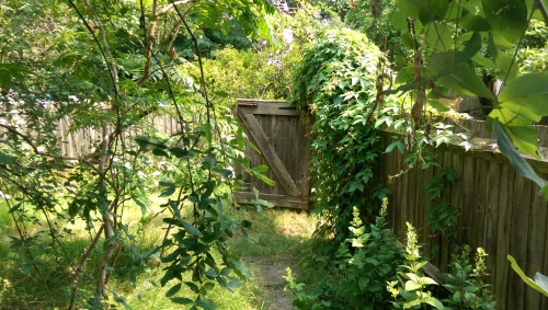 35-IMG_20240801_142153-w500