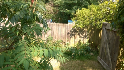 40-IMG_20240817_153542-w500