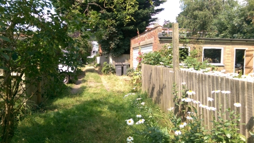 05-IMG_20240801_142257-w500