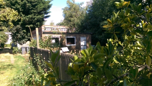 10-IMG_20240903_125001-w500