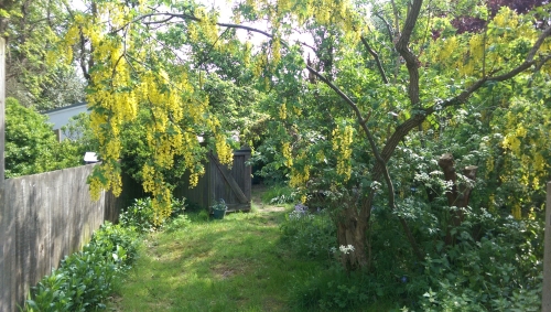 05-IMG_20230515_154639-w500