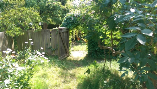 10-IMG_20240801_142421-w500