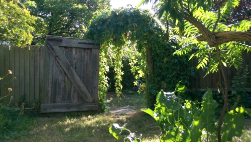 15-IMG_20240829_150440-w500