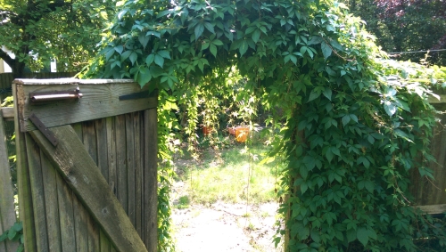 20-IMG_20240801_142429-w500