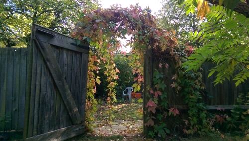 25-IMG_20240928_160844-w500