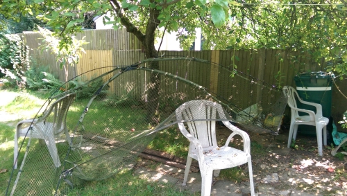 50-IMG_20240801_142449-w500