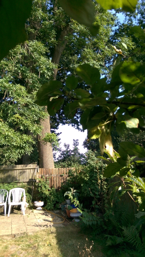 15-IMG_20240901_153442-w500