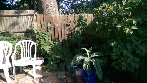 20-IMG_20240901_152806-w500