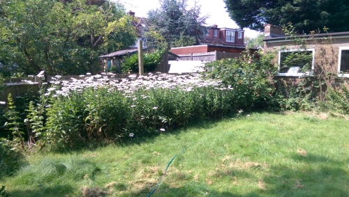 25-IMG_20240801_142605-w500