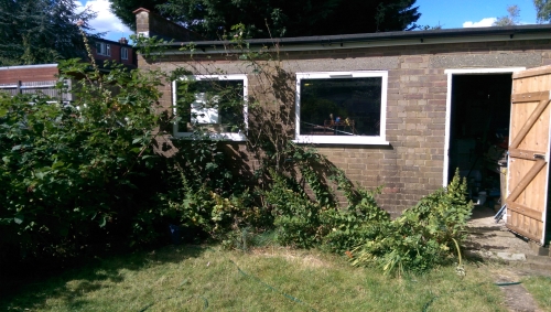 35-IMG_20240829_150705-w500