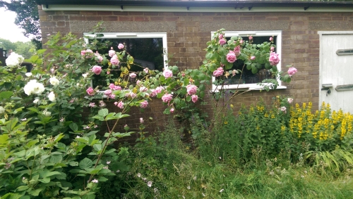 60-IMG_20230612_134814-w500