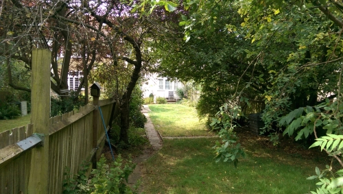 10-IMG_20240829_141616-w500