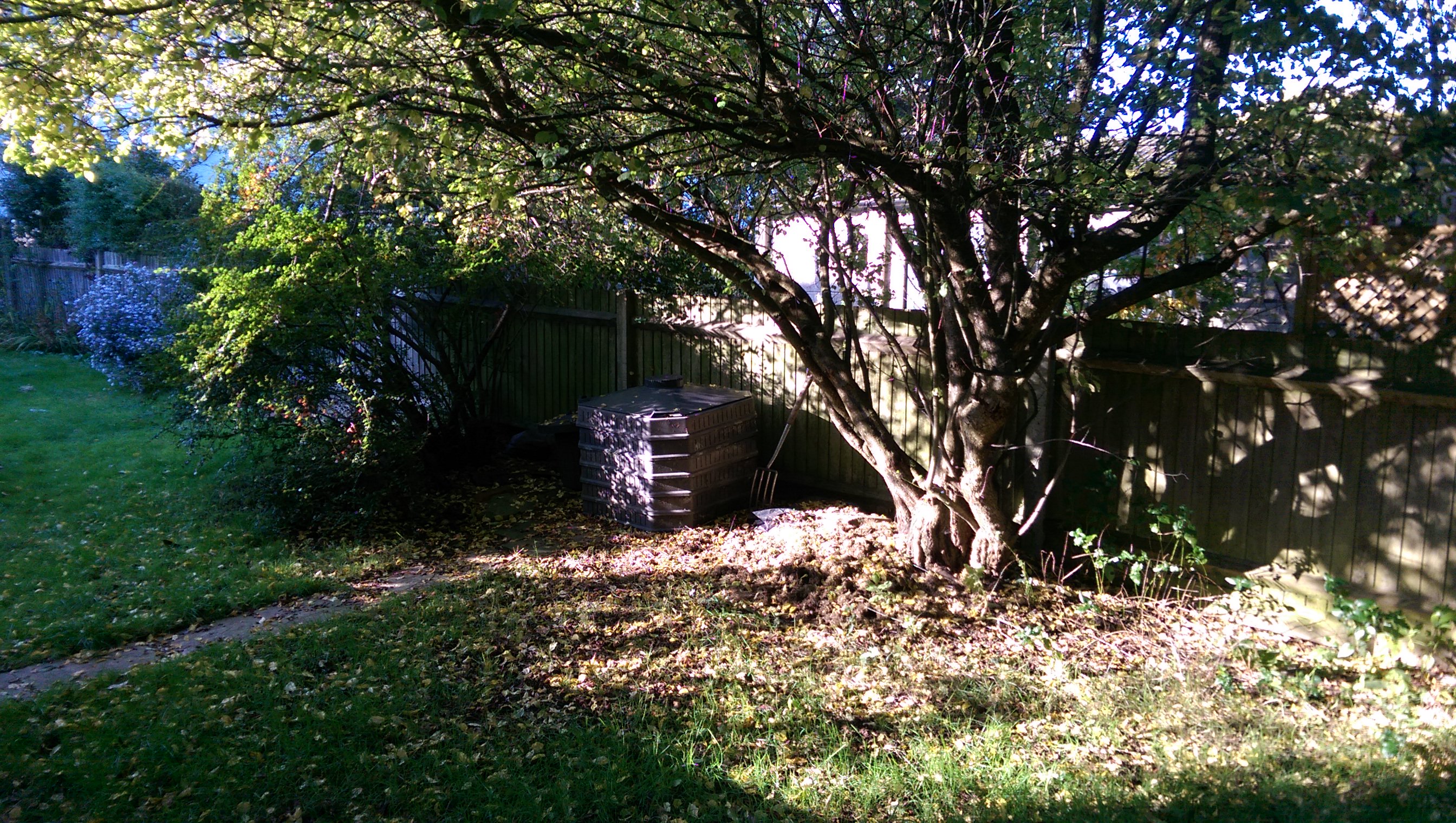 15-IMG_20241011_155454