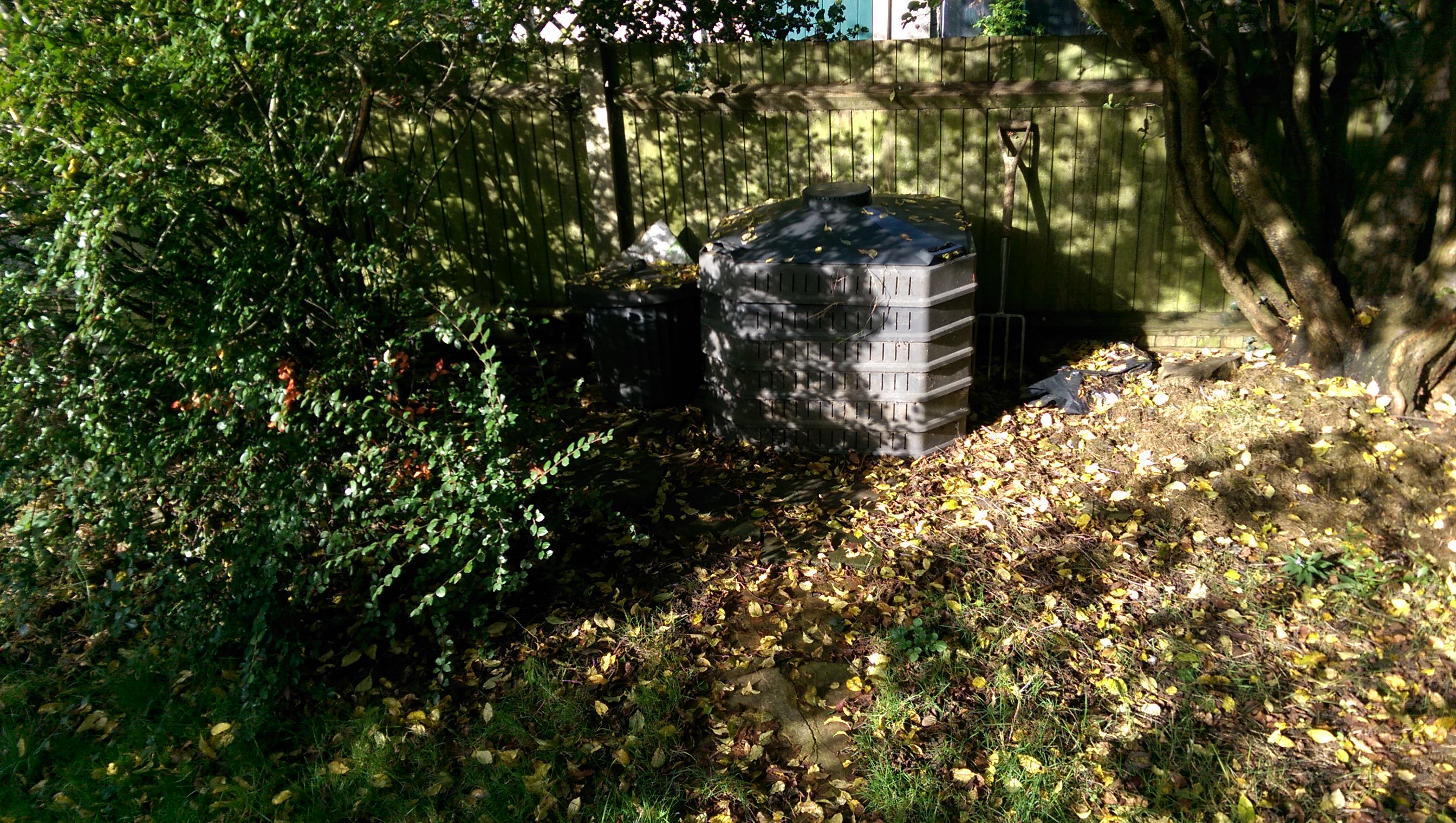 20-IMG_20241009_153941