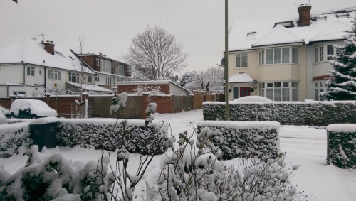 05-IMG_20221212_101035-w500