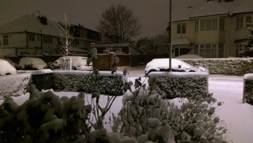 15-IMG_20221212_005449-w500