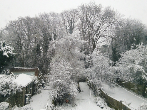 20-IMG_20171210_104634-w500