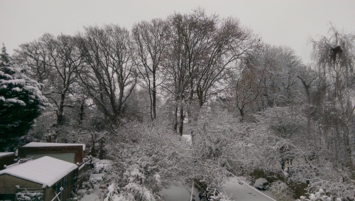 25-IMG_20221212_100716-w500