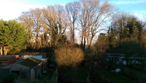 30-IMG_20201225_151135-w500