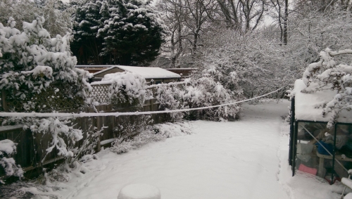 35-IMG_20221212_101214-w500