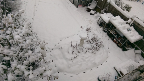 40-IMG_20221212_100611-w500