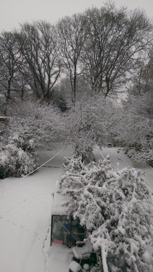 50-IMG_20221212_100942-w500