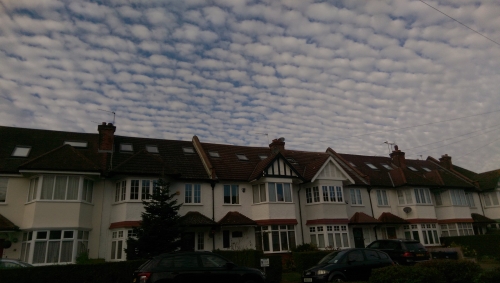 05-IMG_20201106_103838-w500