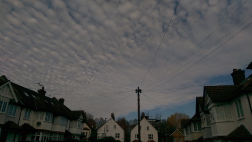 10-IMG_20201106_105021-w500